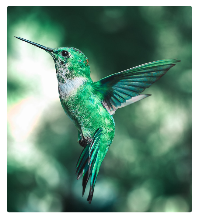 aarn-giri-eLC1Bd3PLu4-unsplash