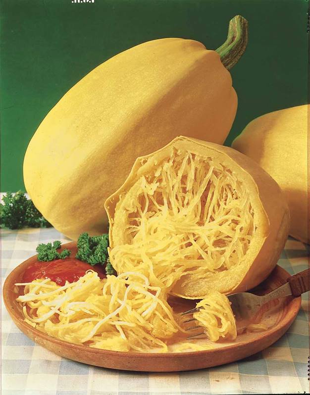 Courge spaghetti